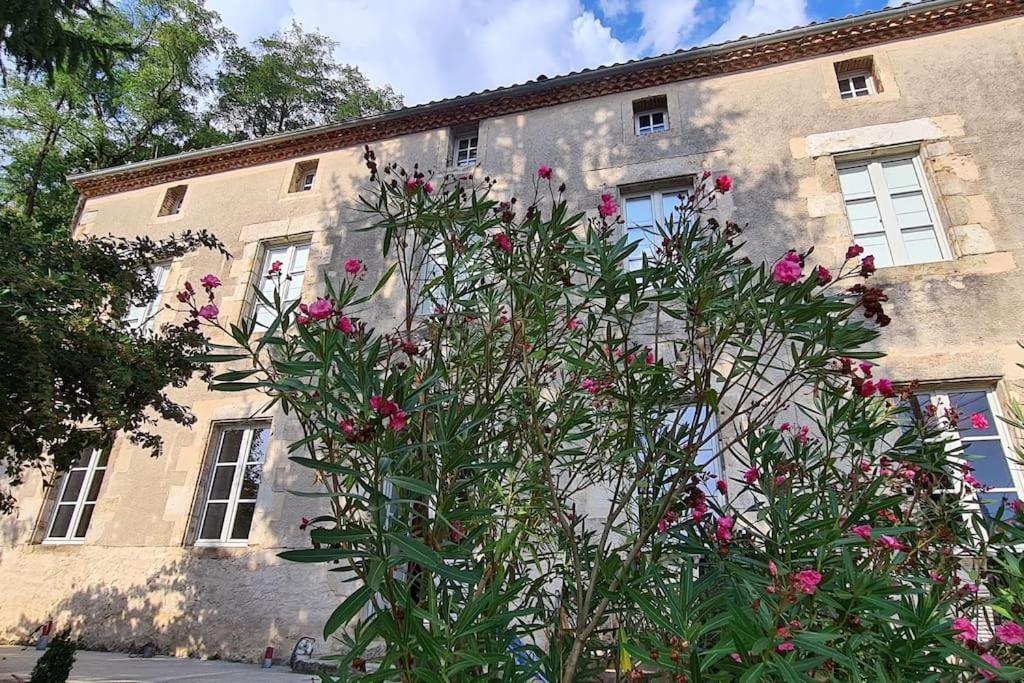 Les Hauts De St Jacques Maison D'Exception 300M2, Jardin Arbore 2000M2 Пузож Экстерьер фото